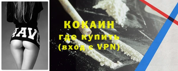 прущие грибы Богданович