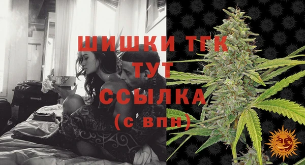 прущие грибы Богданович