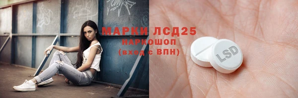 твердый Тайга