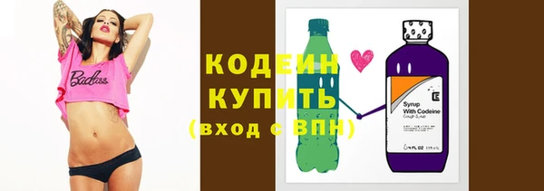 прущие грибы Богданович