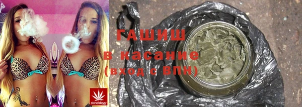 прущие грибы Белокуриха