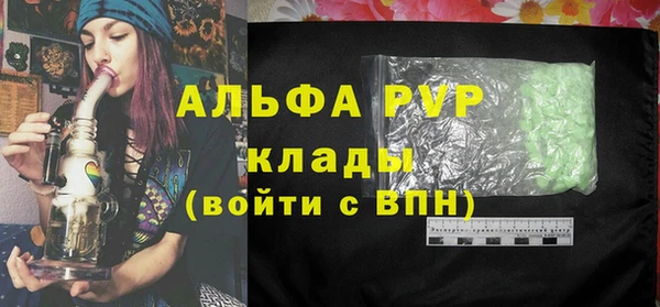 прущие грибы Богданович