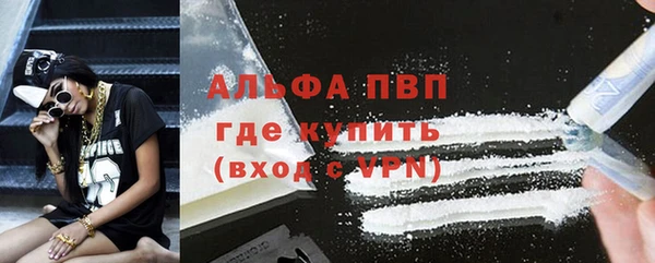 прущие грибы Богданович
