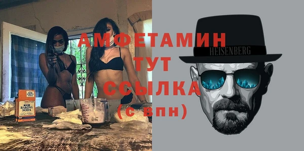 прущие грибы Богданович