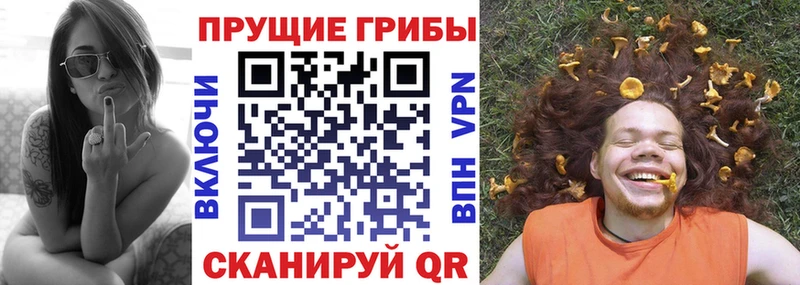 Галлюциногенные грибы MAGIC MUSHROOMS Нелидово